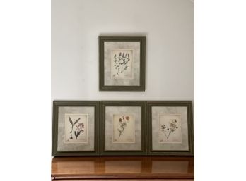 The New York Botanical Garden, Botanical Specimens - Set Of 4