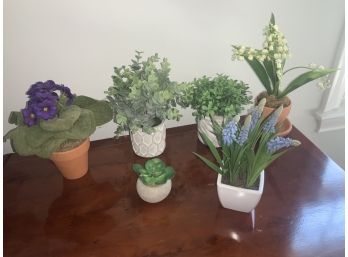 Collection Of 6 Small Faux Plants