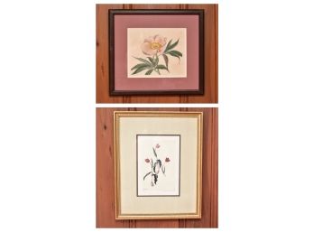 W. Curtis Antique Framed Botonical Prints