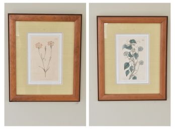 Curtis Walworth Botanical Prints Lot 1