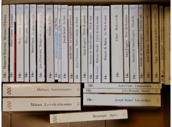 Lot Of 30 Folio Paperback Books In French