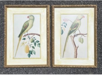 A Pair Of Framed Ornithological Prints