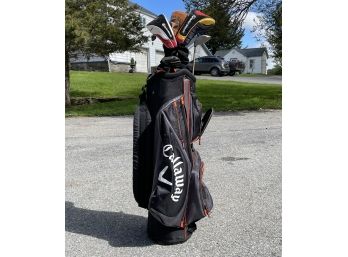 Golf Clubs In Bag