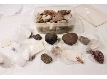 Geology LOT Collection Of Rock Samples And Fossils