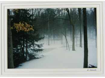 11' X 14' Matted & Signed Photograph (Nancy Stanich) - WINTER MIST