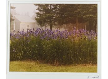 11' X 14' Matted & Signed Photograph (Nancy Stanich) -IRIS FIELD