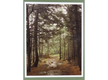 16' X 20' Matted & Signed Photograph (Nancy Stanich) - Cathedral Woods Path