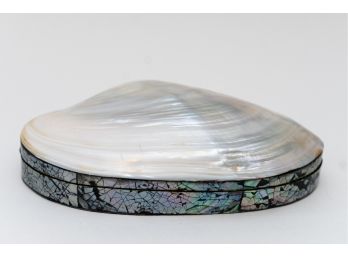 Polished Abalone Shell Jewelry Trinket Box