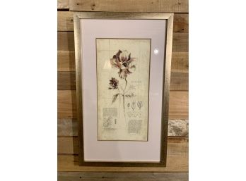 Framed And Matted Botanical Print