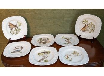 Alfred Meakin, England - Birds Of America Plates - Set Of 7