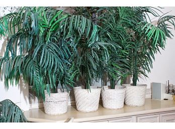 Group Of Four Artivicial Ferns In Wicker Planters