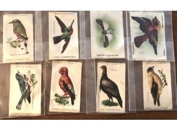 Lot Of 8 Beautiful Circa 1913 Bird Tobacco Silks