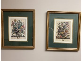 May & September Framed Floral Botanical Prints