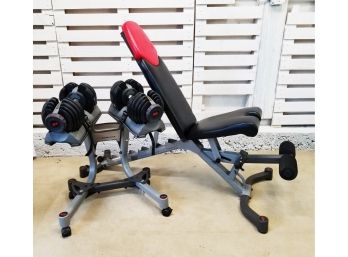 Bowflex Selecttech 552 With Stand & Bowflex Weight Bench Series