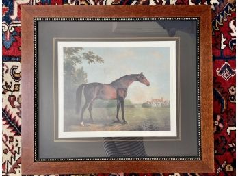 Custom Framed Equestrian Engraving With Hand Decorated Navy Mat