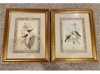 John Gould (1804 -1881) 'Redstart' & 'chaffinch' Framed Bird Prints