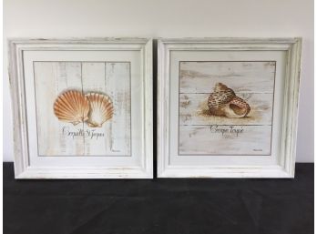 Two Sea Shell Prints From Ballard Design