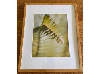 Pamela Walker Framed Photograph