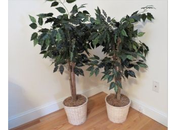 Two Faux Ficus Trees