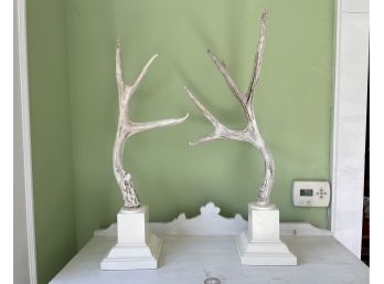 White Decorative Mounted Antlers