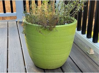 A Textured Green Ceramic Planter