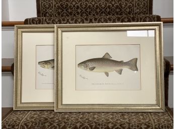 Vintage Denton Trout Prints