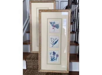 A Great Pair Of Vintage Triple Botanical Prints