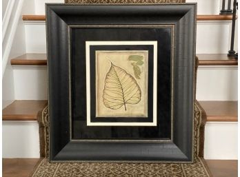 A Strikingly Framed & Matted Leaf Print