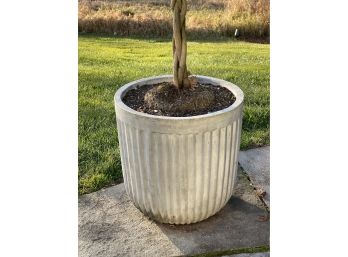 A Short, Modern Concrete Planter, Fluted Sides, Pottery Barn