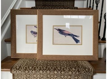 A Pair Of Pisanello Bird Prints