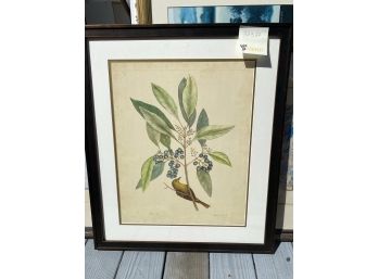 Beautiful Floral Botanical Print - Ligustrum 32 X 27