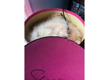 Allergy Alert -pink Feather Boa?  With Hat Box