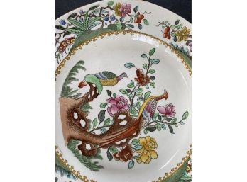 Copeland Spode Single Dinner Plate In A Beautiful Indian Tree Pattern