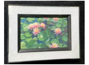 Small Framed Photo Of Lil IPads In Bloom