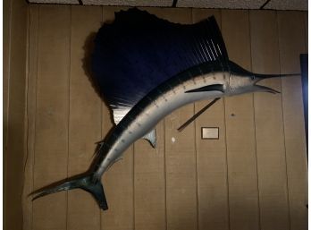 68 Pound, 77 Inches Sailfish, 116