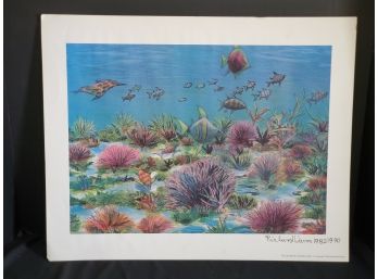 Unframed Signed Lithograph Print Richard Wawro Sea Life Off The Australian Coast