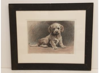 Dandie Dinmont Pup Original Dog Color Engraving By Herbert Dicksee W/ Antique Frame Handcolored Quality Print