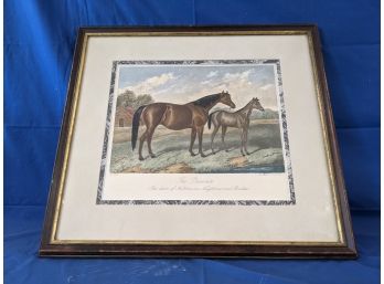 Antique Print Of 'Princess' Famous Horse Dam And Foal