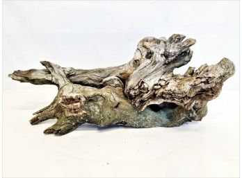 Natural Freshwater Driftwood With Embedded Rock