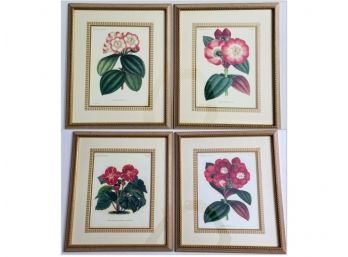 Set Of 4 Botanical Prints