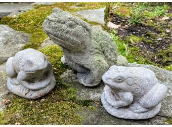 3 Garden Frogs