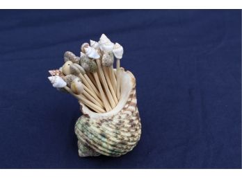 Very Cool Vintage Shell Holder And 20 Toothpick-like Shell Stickers