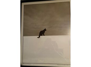 Framed Reproduction Print Richard D'Amore Cat On A Wall