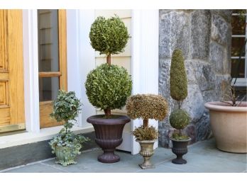 Set Of 4 Surreal Topiary Planters