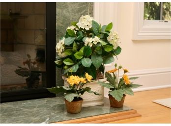 Trio Of Surreal Flowers In Planters