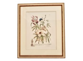 Ketmia Botanical Print