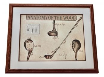 J PENNINGTONs Lithograph - Anatomy Of The Wood