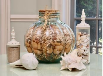 Set Of 5 Decorative Sea Shell Pieces