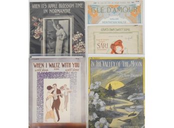 Sheet Music - Large Format - Musicals And Vaudeville Reviews From 1912 And 1913