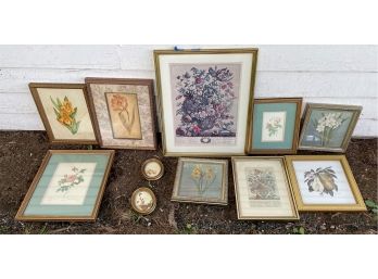 LOT OF BOTANICAL PRINTS